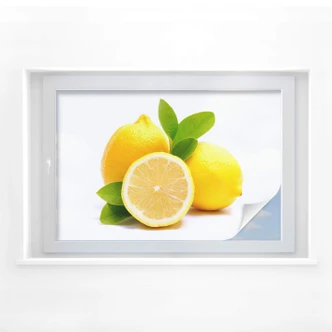 Sichtschutzfolie Lemons 