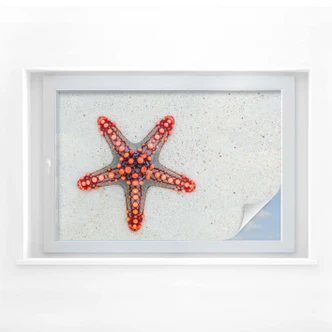 Sichtschutzfolie Leuchtender Seestern 