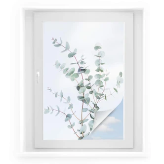 Sichtschutzfolie Sisi & Seb - Eukalyptuszweig 