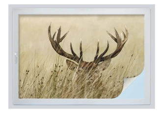 Raamfolie Waakzaam hert 