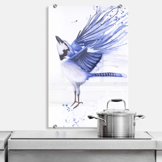 Spritzschutz Müller - Blaumeise 