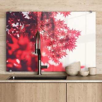 Spatscherm Esdoorn in de Herfst 