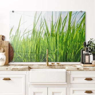 Spatscherm Groen Gras 