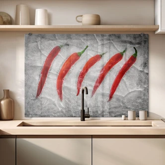 Spritzschutz Losada - Frozen Fire Spritzschutz Losada - Frozen Fire