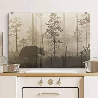 Spatscherm Ove Linde - Ochtendmist 