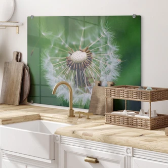 Pannello paraschizzi  Soffione nel vento 