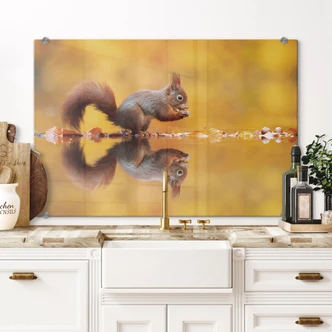 Spatscherm van Duijn - Eekhoorntje met Noot Spatscherm van Duijn - Eekhoorntje met Noot