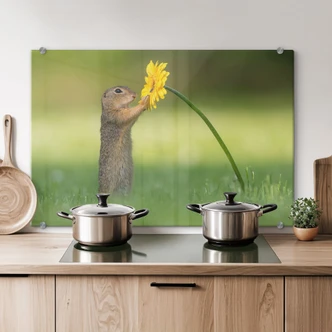 Spritzschutz van Duijn - Erdhörnchen hält Blume 
