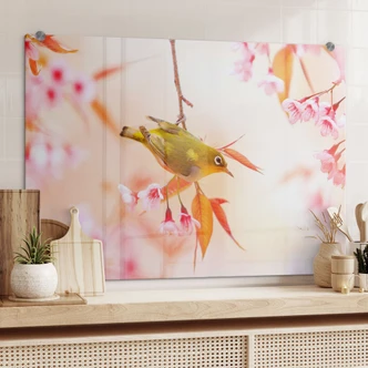 Bird in Cherry Blossoms - Kitchen Splashback 