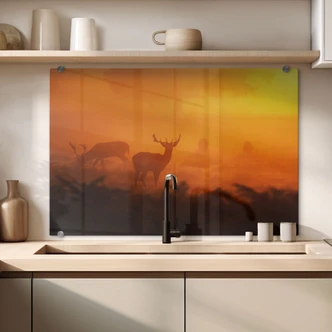 Spritzschutz Hirsche im Sonnenuntergang 