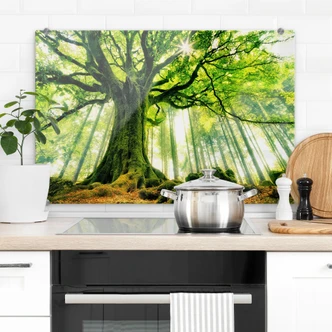 Spatscherm Sprookjesbos - Kiciak 