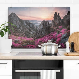 Spritzschutz Seo - Felsige Landschaft im Sonnenuntergang 
