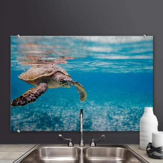Crédence Tortue en voyage 