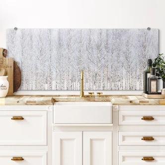 Spatscherm berkenbos in winter - EMELIEmaria - Panorama 