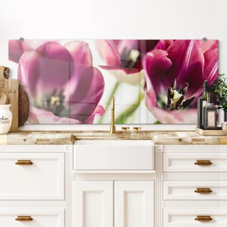 Spatscherm Bsmart - Tulips 