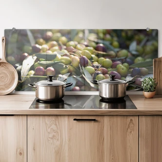 Spritzschutz Mediterrane Oliven - Panorama 