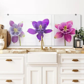 Spatscherm Prachtbloemen 