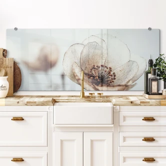 Pannello paraschizzi Fiore secco Beige Poesia della natura - Treechild - Panorama 