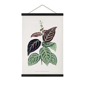 Stoffbild Blatt Illustration - Bignonia Argyro Violascea 