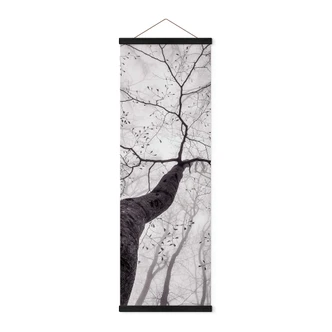 Stoffbild Pavlasek - Ein Blick in die Baumkronen - Panorama 