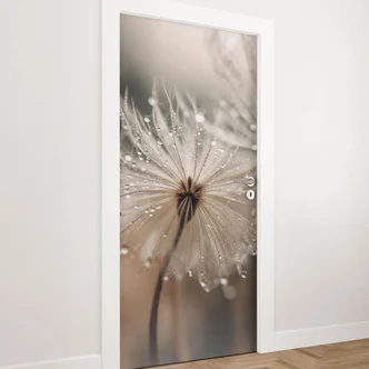 Door foil Dandelion in the morning dew - Treechild - Self-adhesive door decoration Door foil Dandelion in the morning dew - Treechild - Self-adhesive door decoration