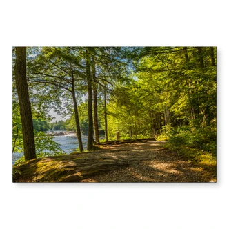Wandbild Waldweg am Fluss - Alu-Dibond 