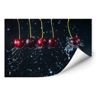 Wallprint Belenko - Newtons Cradle 