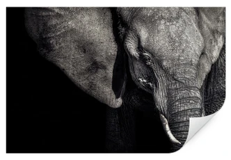 Zelfklevende Poster Flour  