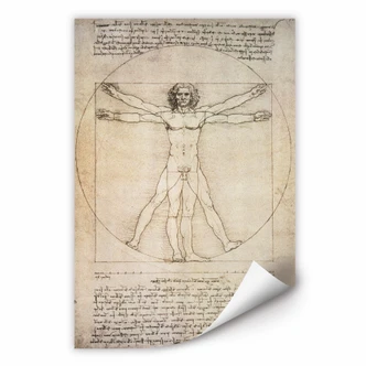 Wallprint W - Da Vinci - Proportionszeichnung 