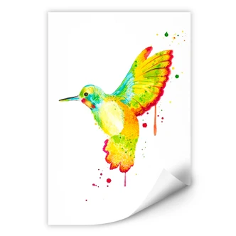 Wallprint W - Buttafly - Kolibri 