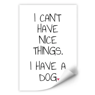 Wallprint I can't have nice things 