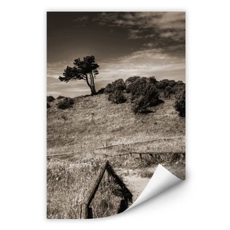 Wallprint - Landschaft auf Hiddensee 