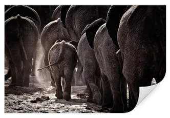 Wallprint McRae - Walking Home 