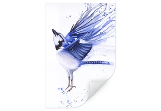 Wallprint Müller - Blaumeise 