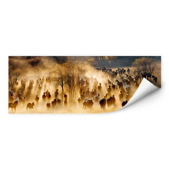 Zelfklevende Poster - Zhu - Wild Horses - panorama 