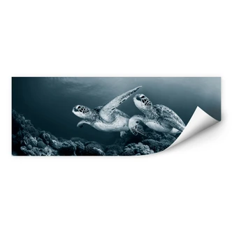 Wallprint Narchuk - Zwei Schildkröten auf Reisen 