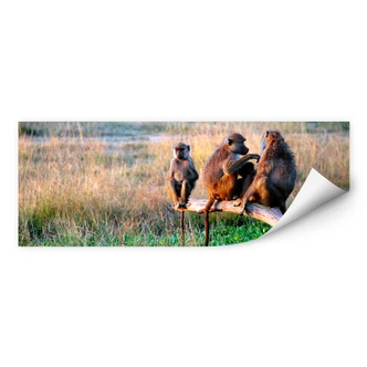 Wallprint W - Affenbande - Panorama 