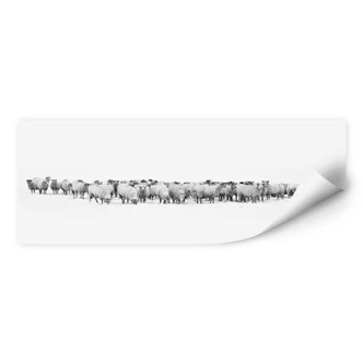 Wallprint Schafherde - Panorama 