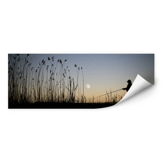 Zelfklevende Poster - Vissen bij de Maneschijn 