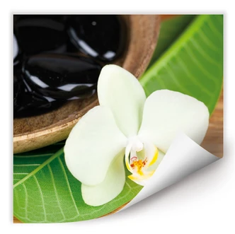 Zelfklevende Poster Wellness Oase Zelfklevende Poster Wellness Oase