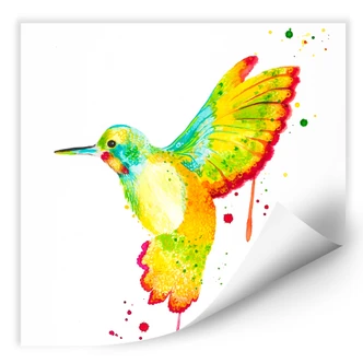 Wallprint W - Buttafly - Kolibri - quadratisch 