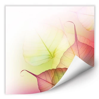 Wall print - Pink Design 