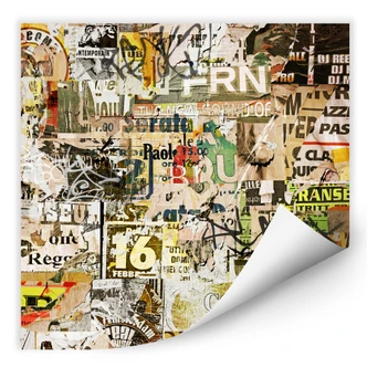 Muurprints Afgescheurde Poster 