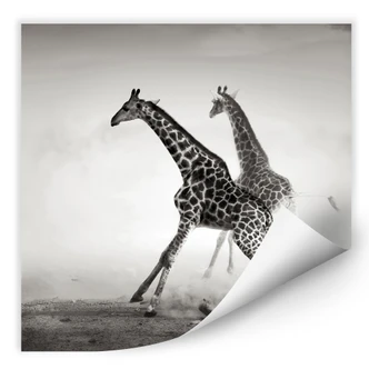 Wallprint - Die Flucht 