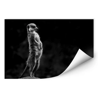 Wallprint van Son - Wachsamkeit 