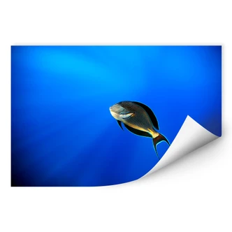 Wallprint Catta - Deep Ocean 