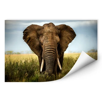 Wallprint Ghizzi-Panizza - Begegnungen in der Sava 