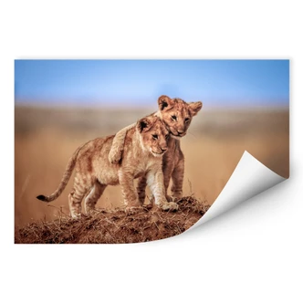 Wallprint Sink - Brothers for Life 