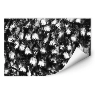 Wallprint Alnaser - Große Flucht 