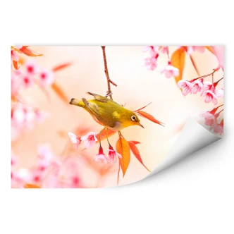 Wall print Twittering in the cherry blossoms 
